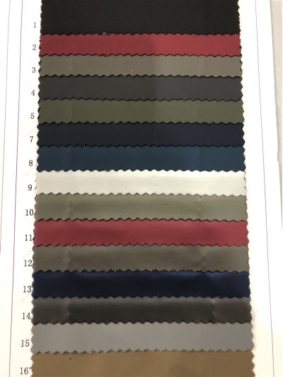 GZ-JNHE 816 尼龍面料  背囊/雨衣面料  正面照